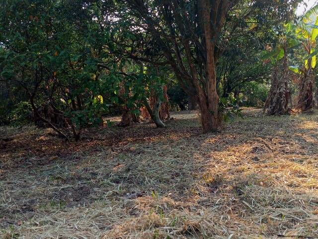 #2280 - Terreno para Venda em Louveira - SP - 3