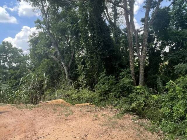 #2317 - Terreno para Venda em Louveira - SP - 2