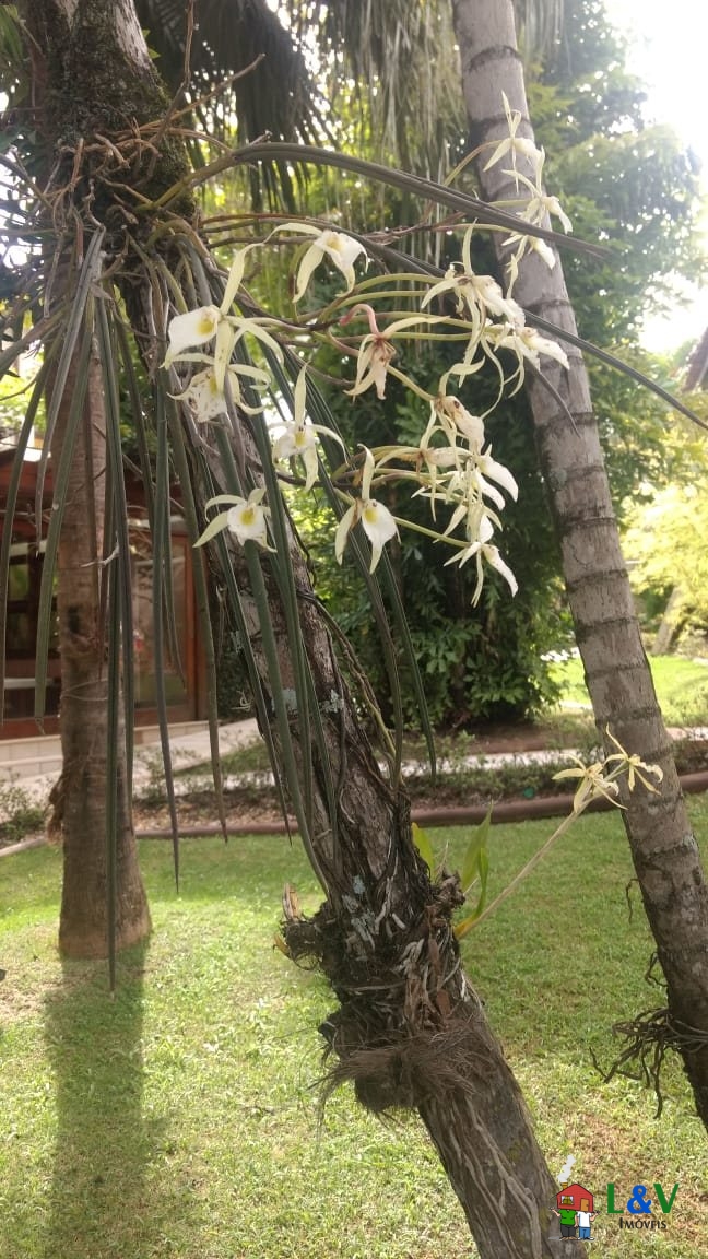 Casa de Condomínio à venda com 3 quartos, 600m² - Foto 23