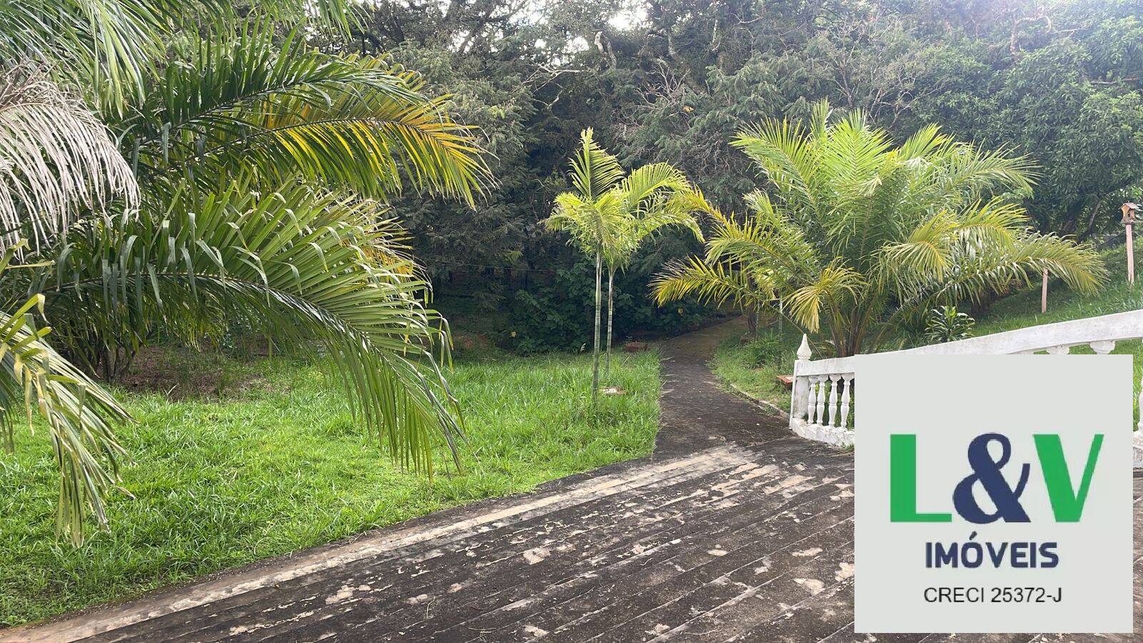 Fazenda à venda com 4 quartos, 20000m² - Foto 4