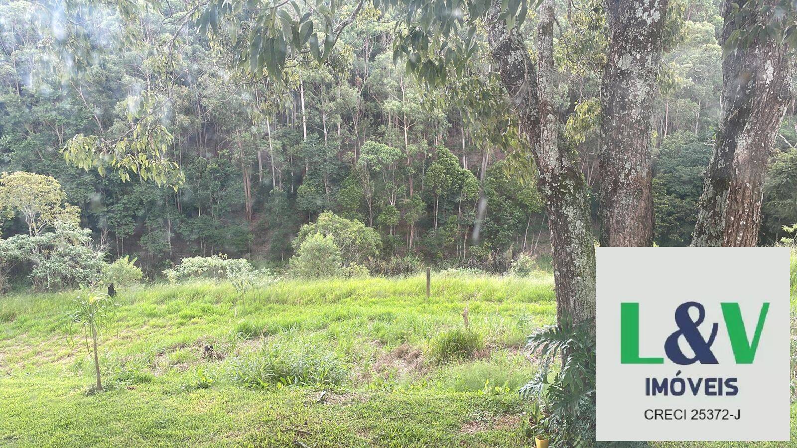 Fazenda à venda com 4 quartos, 20000m² - Foto 5