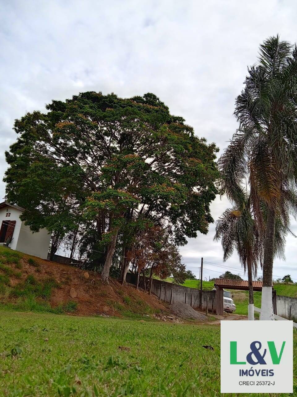 Fazenda à venda com 4 quartos, 20000m² - Foto 13