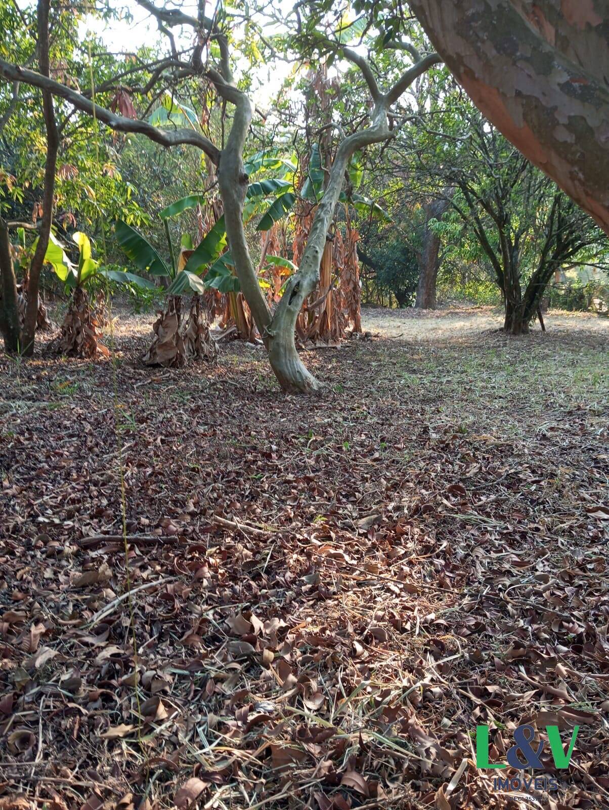 Terreno à venda, 1400m² - Foto 1