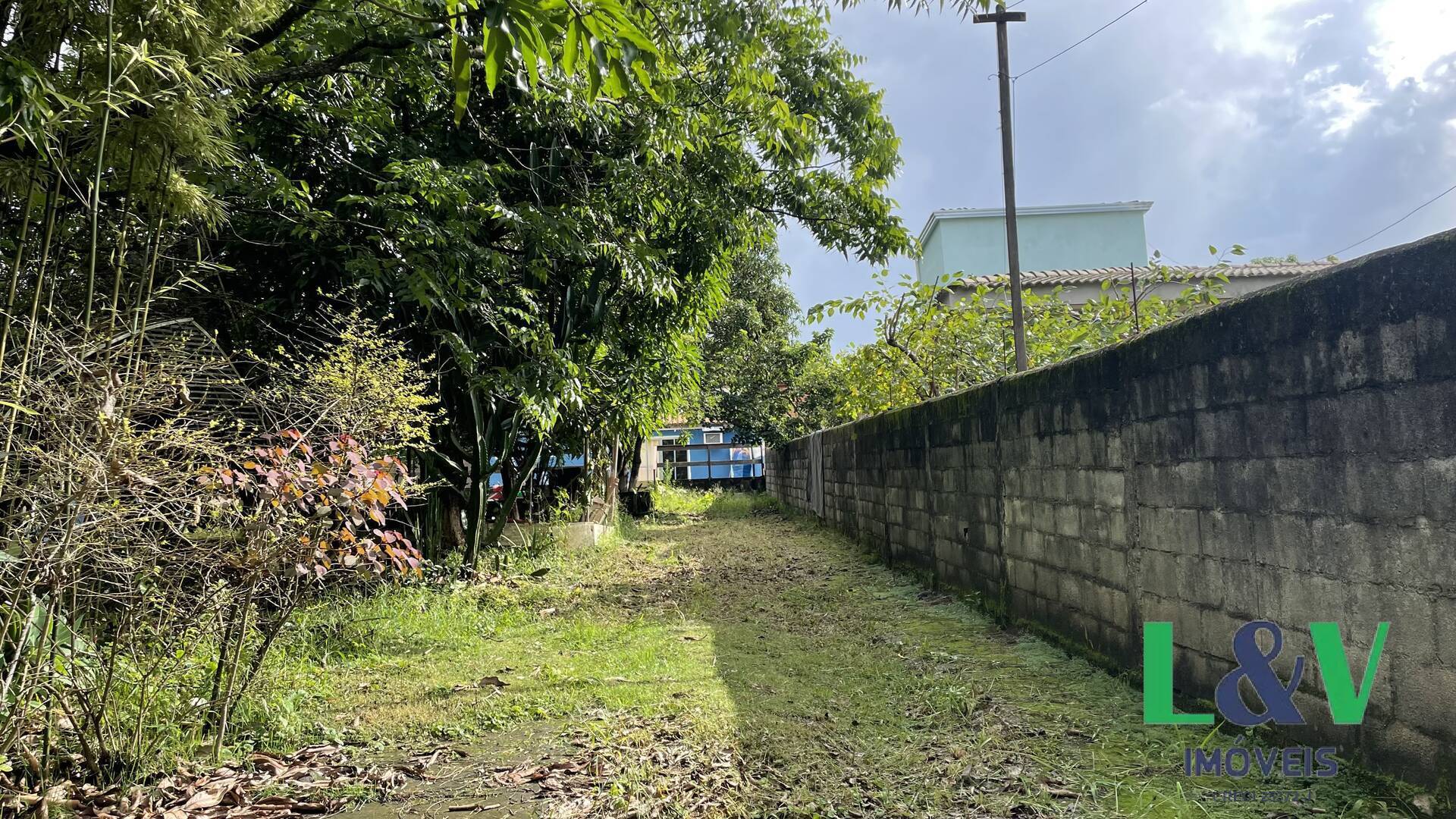 Fazenda à venda com 1 quarto, 50m² - Foto 6