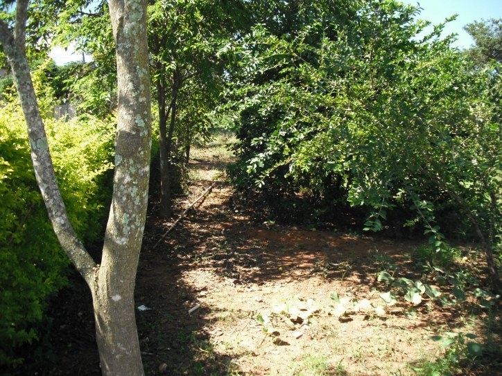 Fazenda à venda com 3 quartos, 200m² - Foto 19