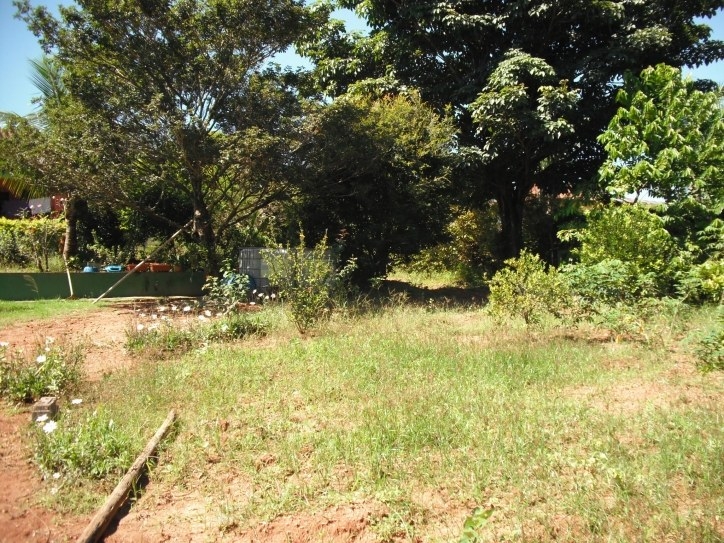 Fazenda à venda com 3 quartos, 200m² - Foto 28