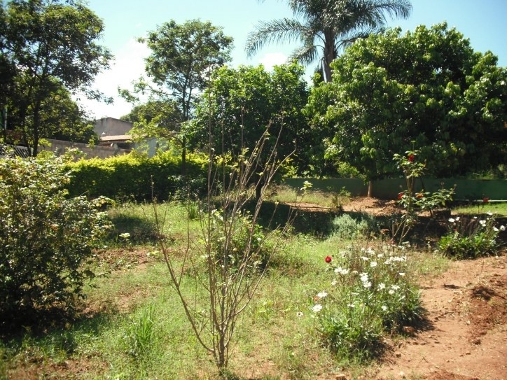 Fazenda à venda com 3 quartos, 200m² - Foto 30