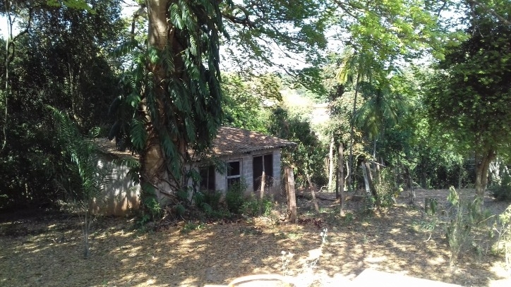 Fazenda à venda com 4 quartos, 170m² - Foto 24