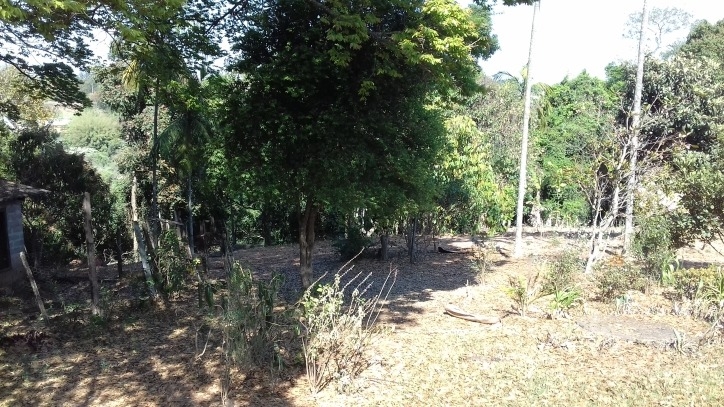 Fazenda à venda com 4 quartos, 170m² - Foto 26