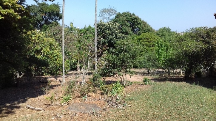 Fazenda à venda com 4 quartos, 170m² - Foto 30