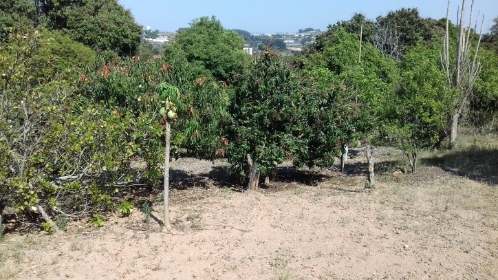 Fazenda à venda com 4 quartos, 170m² - Foto 36