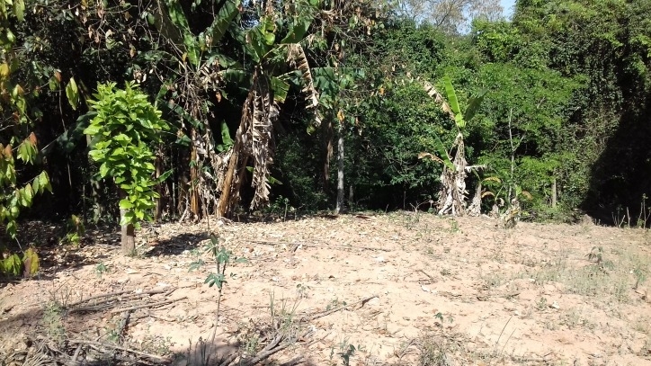 Fazenda à venda com 4 quartos, 170m² - Foto 41