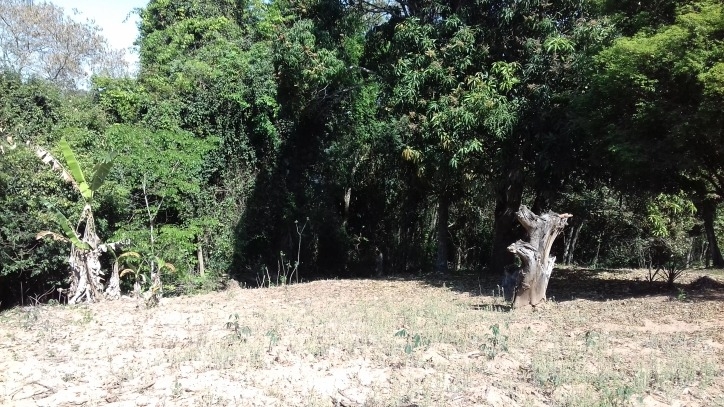 Fazenda à venda com 4 quartos, 170m² - Foto 42