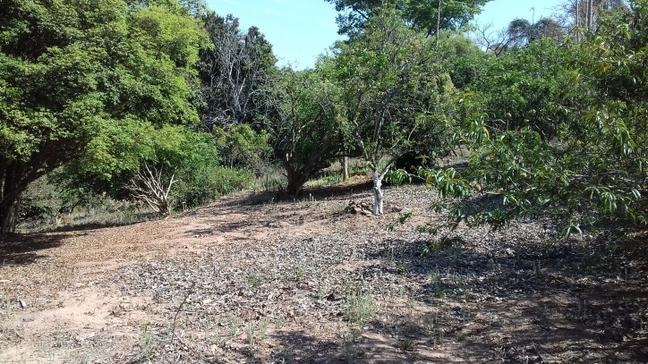 Fazenda à venda com 4 quartos, 170m² - Foto 45