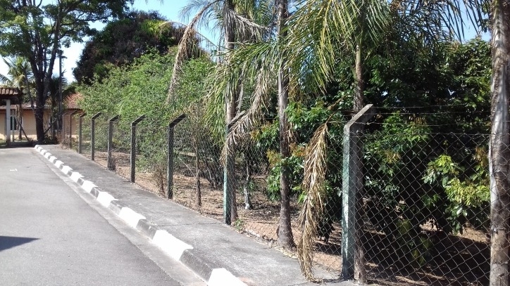 Fazenda à venda com 4 quartos, 170m² - Foto 60