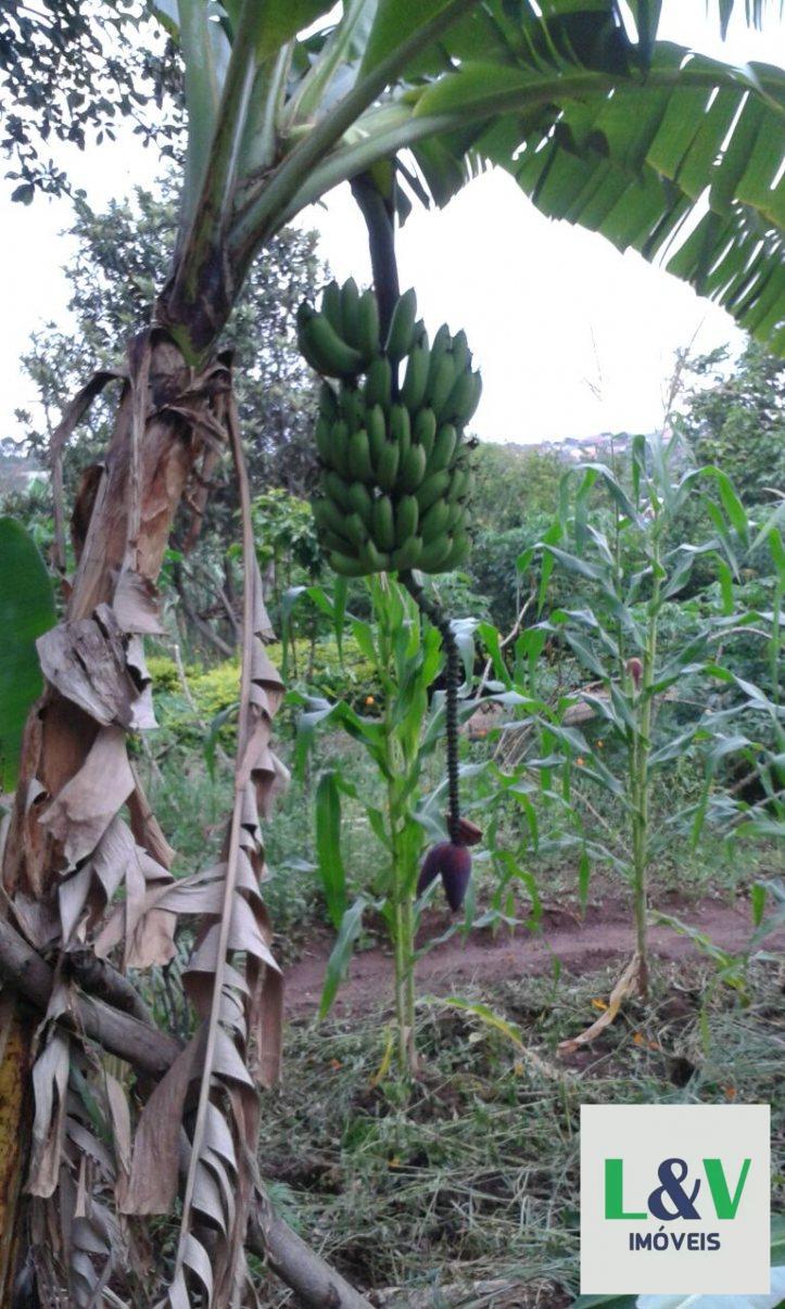 Fazenda à venda com 2 quartos, 500m² - Foto 12